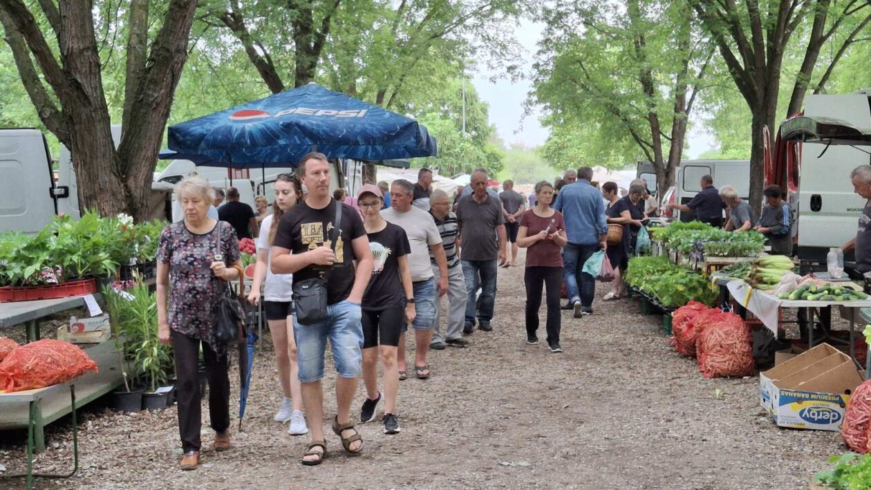 sajam srijedom 16.07.2025 (34)