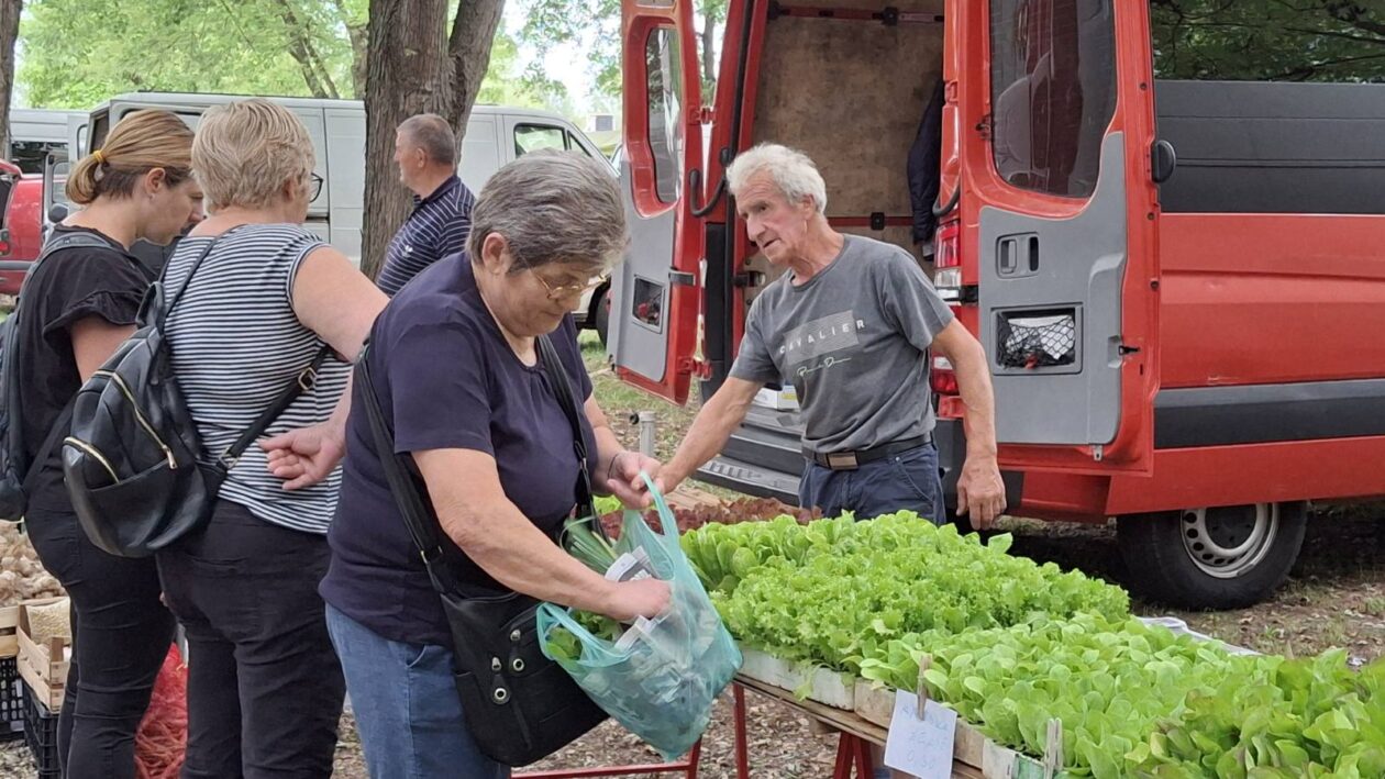 sajam srijedom 16.07.2025 (35)