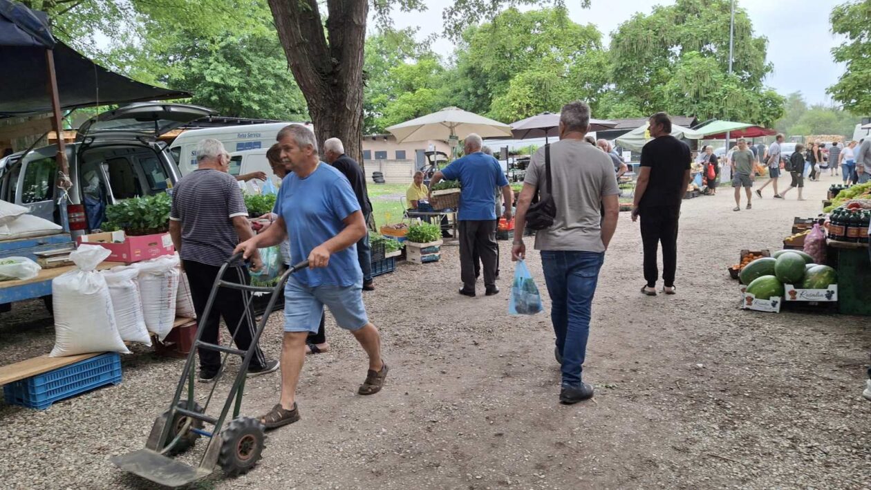 sajam srijedom 16.07.2025 (39)