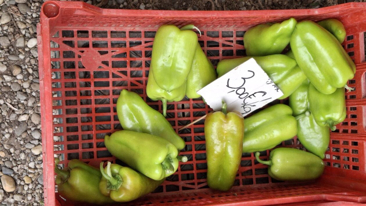 sajam srijedom 16.07.2025 (4)