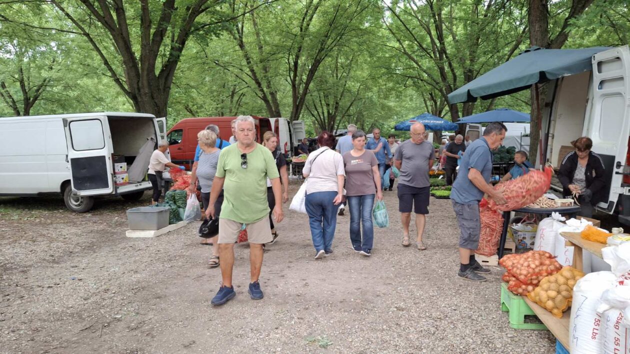 sajam srijedom 16.07.2025 (41)