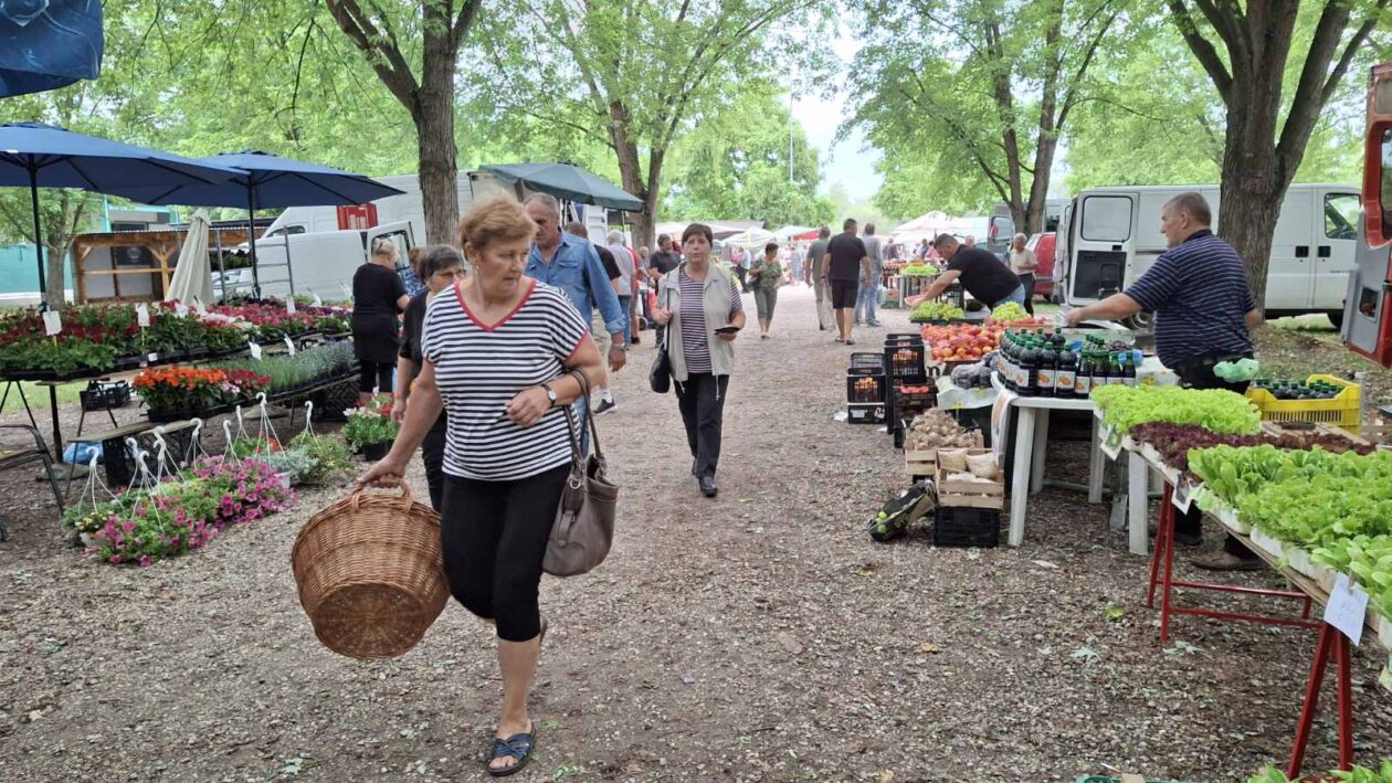 sajam srijedom 16.07.2025 (46)