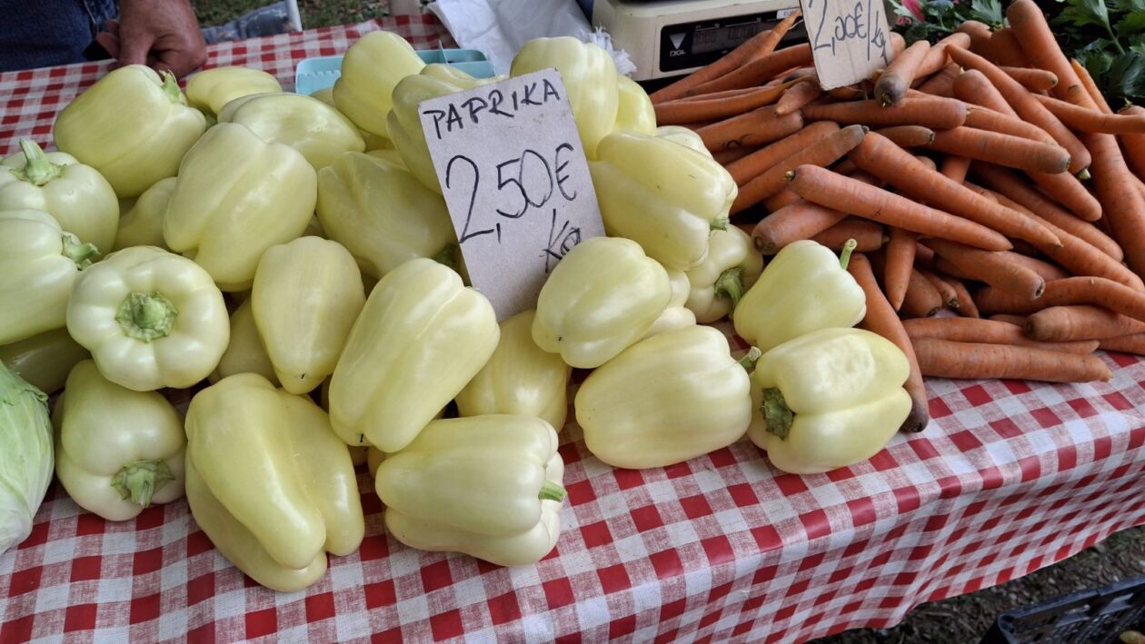 sajam srijedom 16.07.2025 (47)