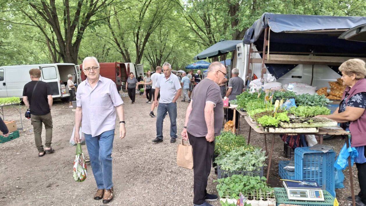 sajam srijedom 16.07.2025 (5)