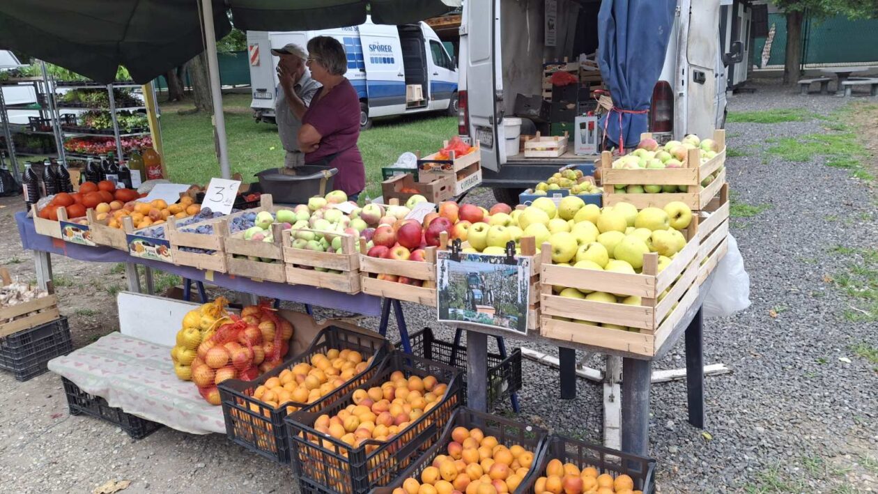 sajam srijedom 16.07.2025 (6)