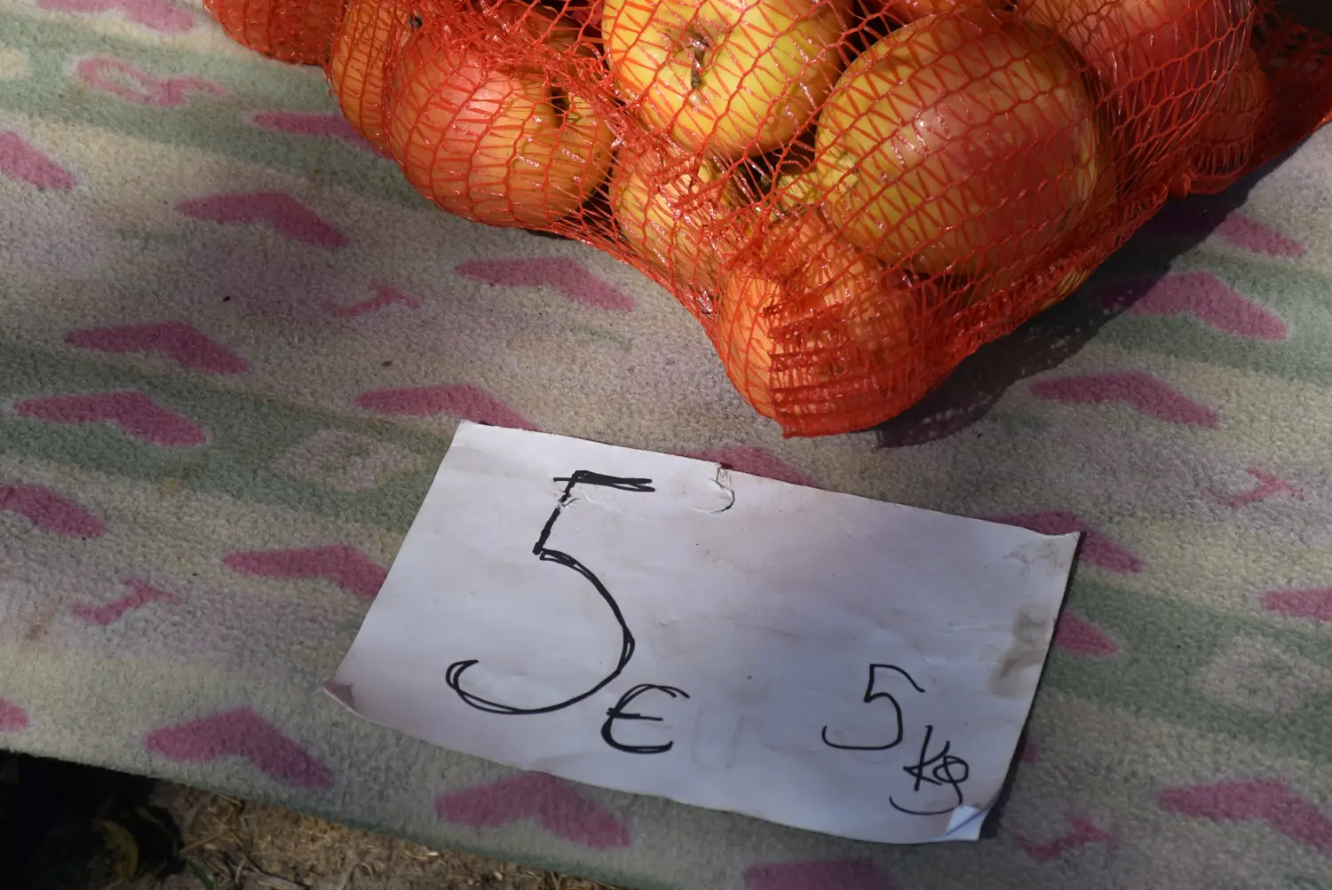 sajam srijedom 17.7.2024 (10)