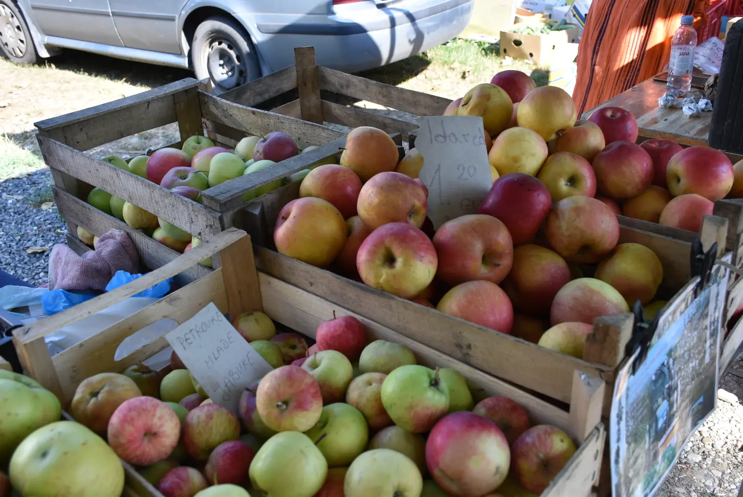 sajam srijedom 17.7.2024 (12)