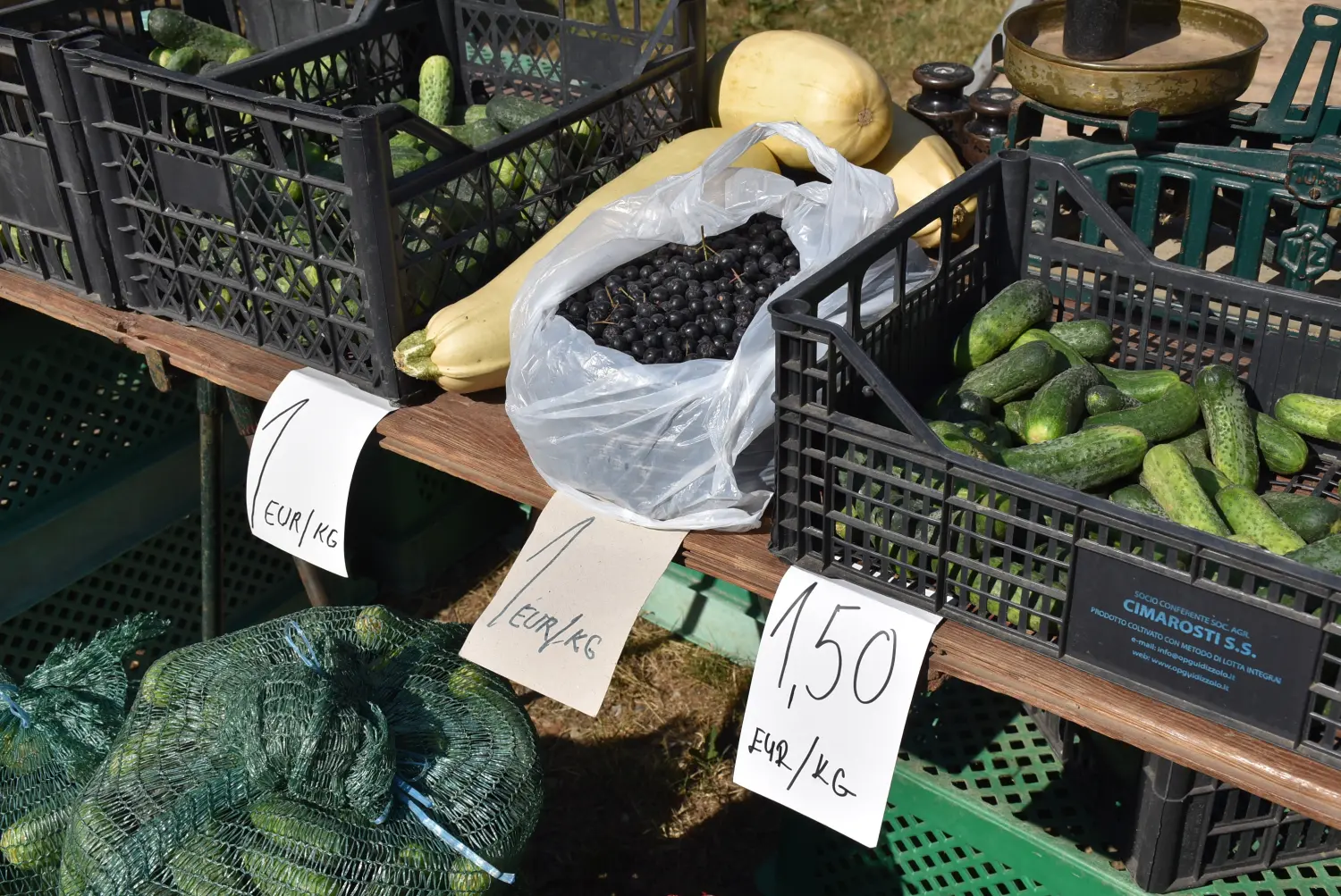 sajam srijedom 17.7.2024 (14)