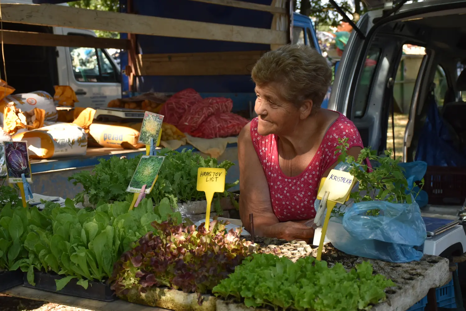 sajam srijedom 17.7.2024 (15)