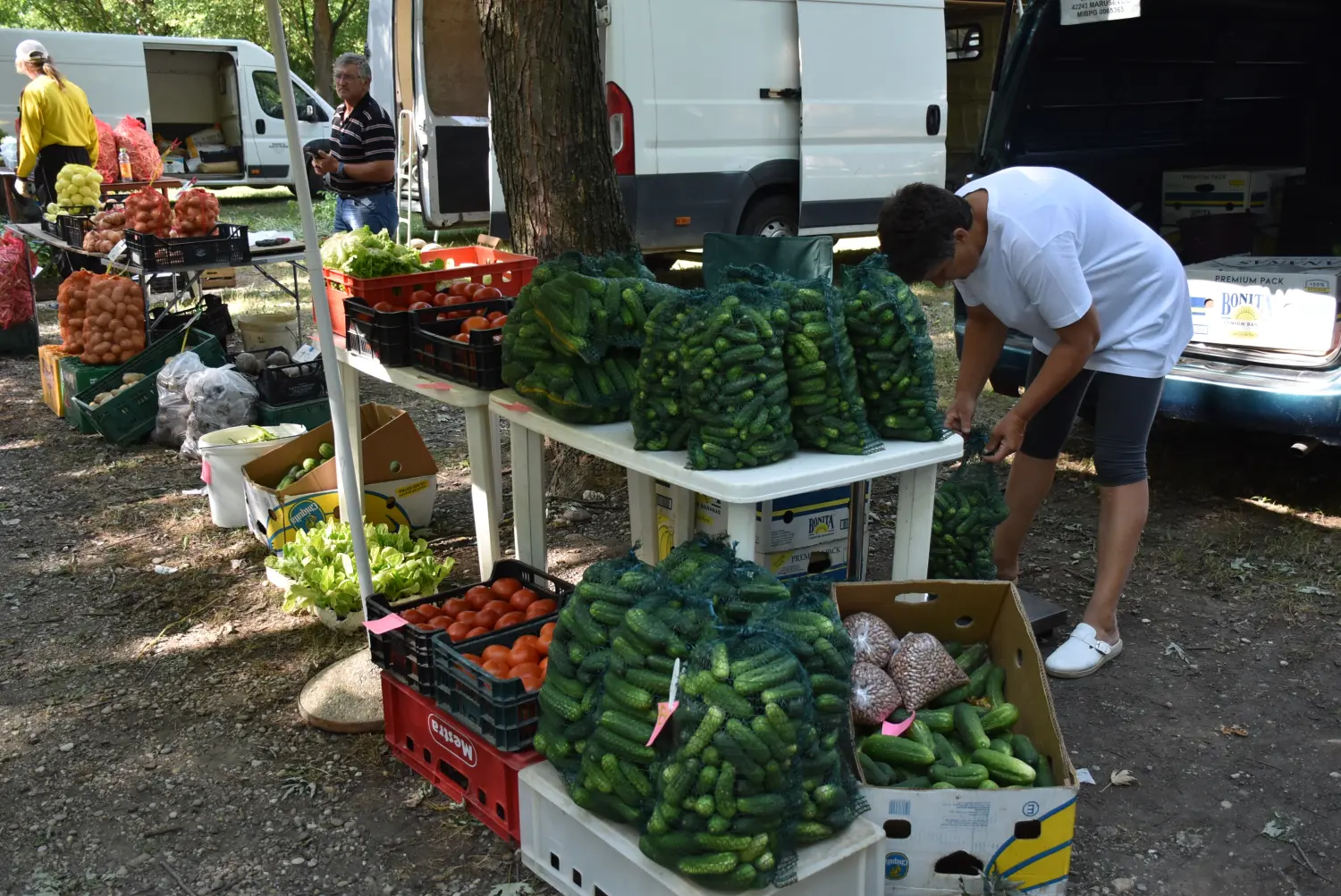 sajam srijedom 17.7.2024 (24)