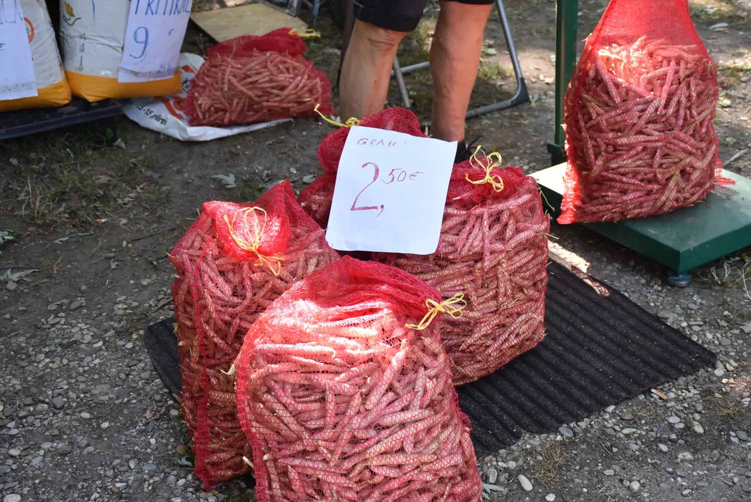 sajam srijedom 17.7.2024 (26)