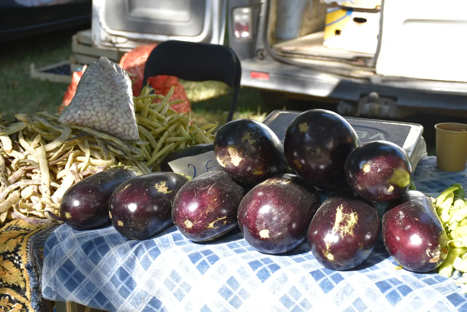 sajam srijedom 17.7.2024 (28)