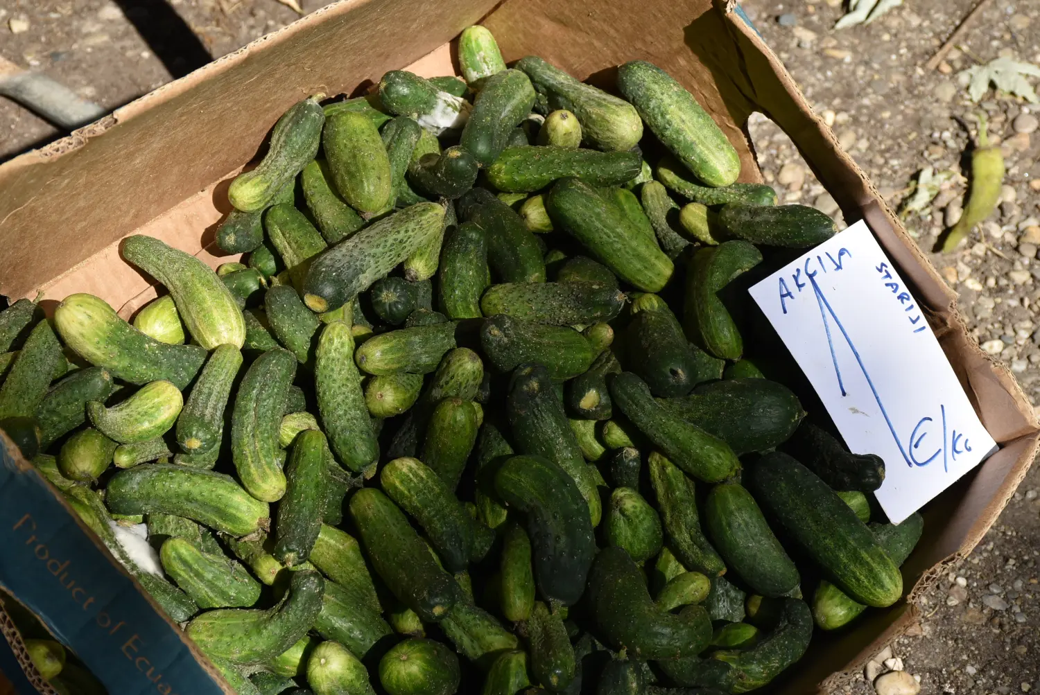 sajam srijedom 17.7.2024 (29)