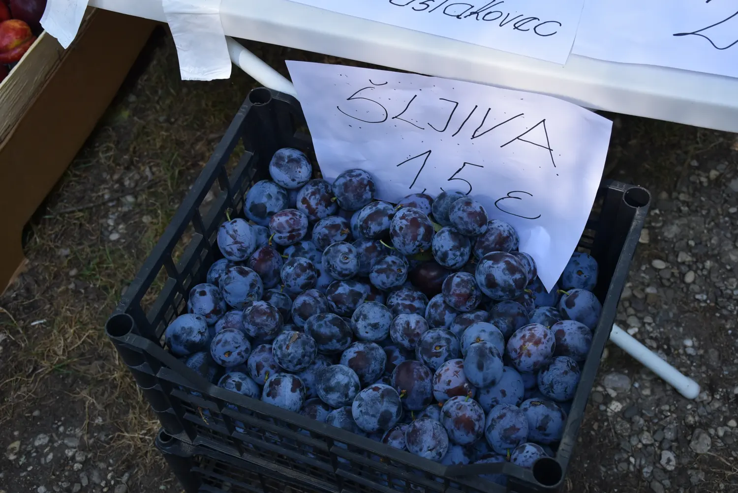 sajam srijedom 17.7.2024 (32)