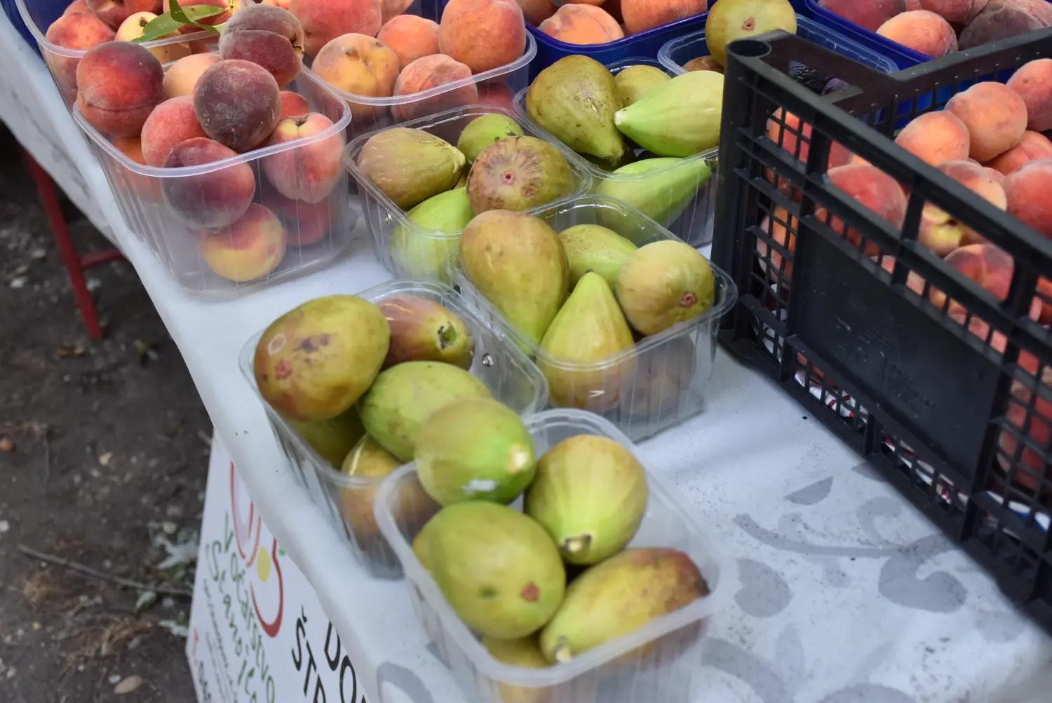 sajam srijedom 17.7.2024 (36)