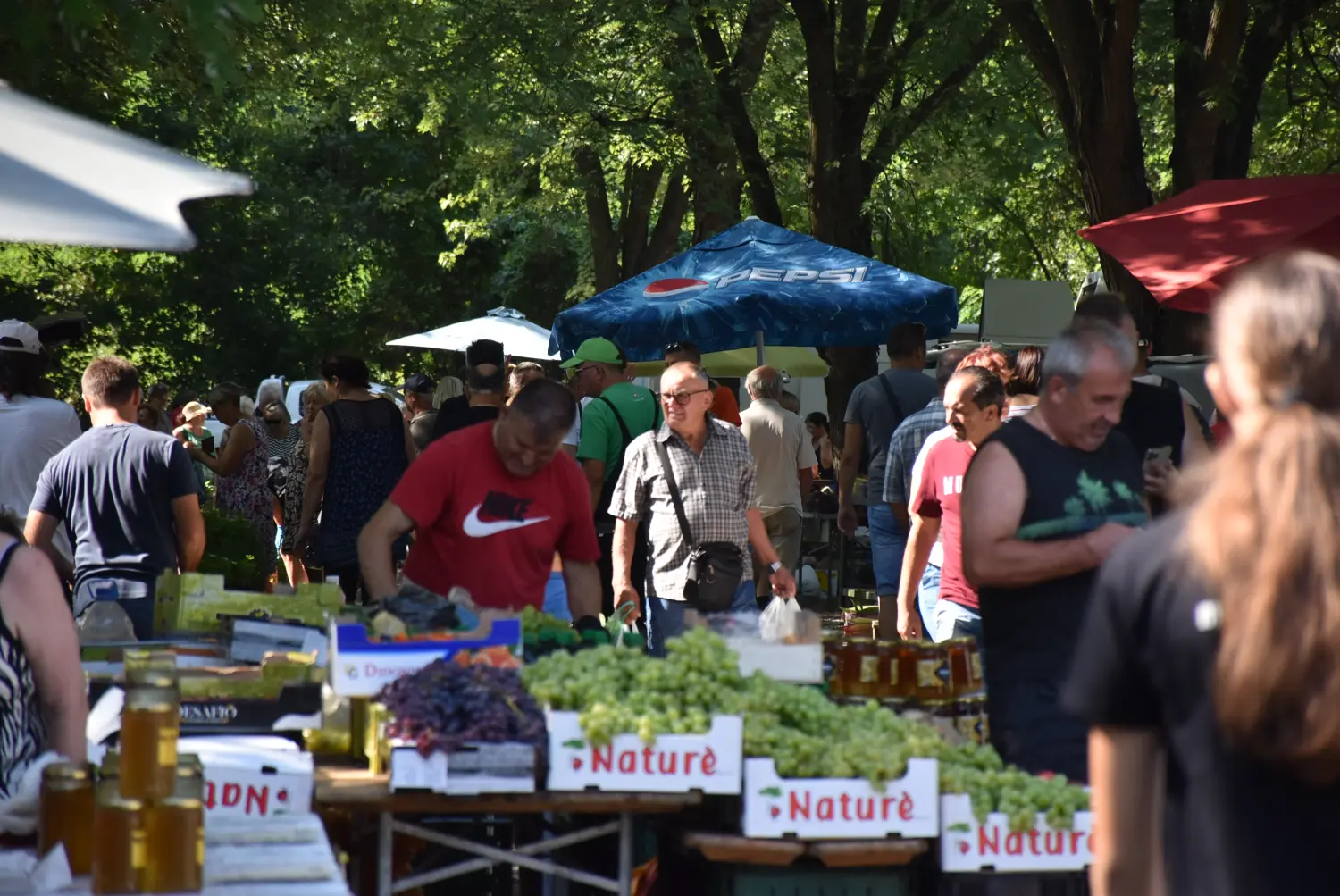 sajam srijedom 17.7.2024 (4)