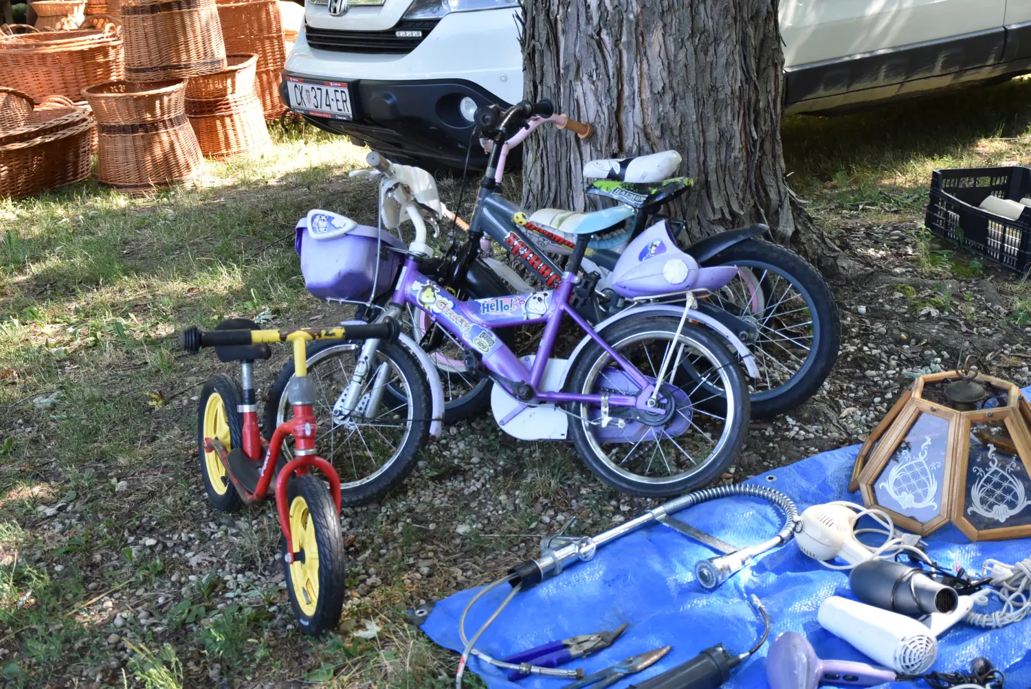 sajam srijedom 17.7.2024 (46)