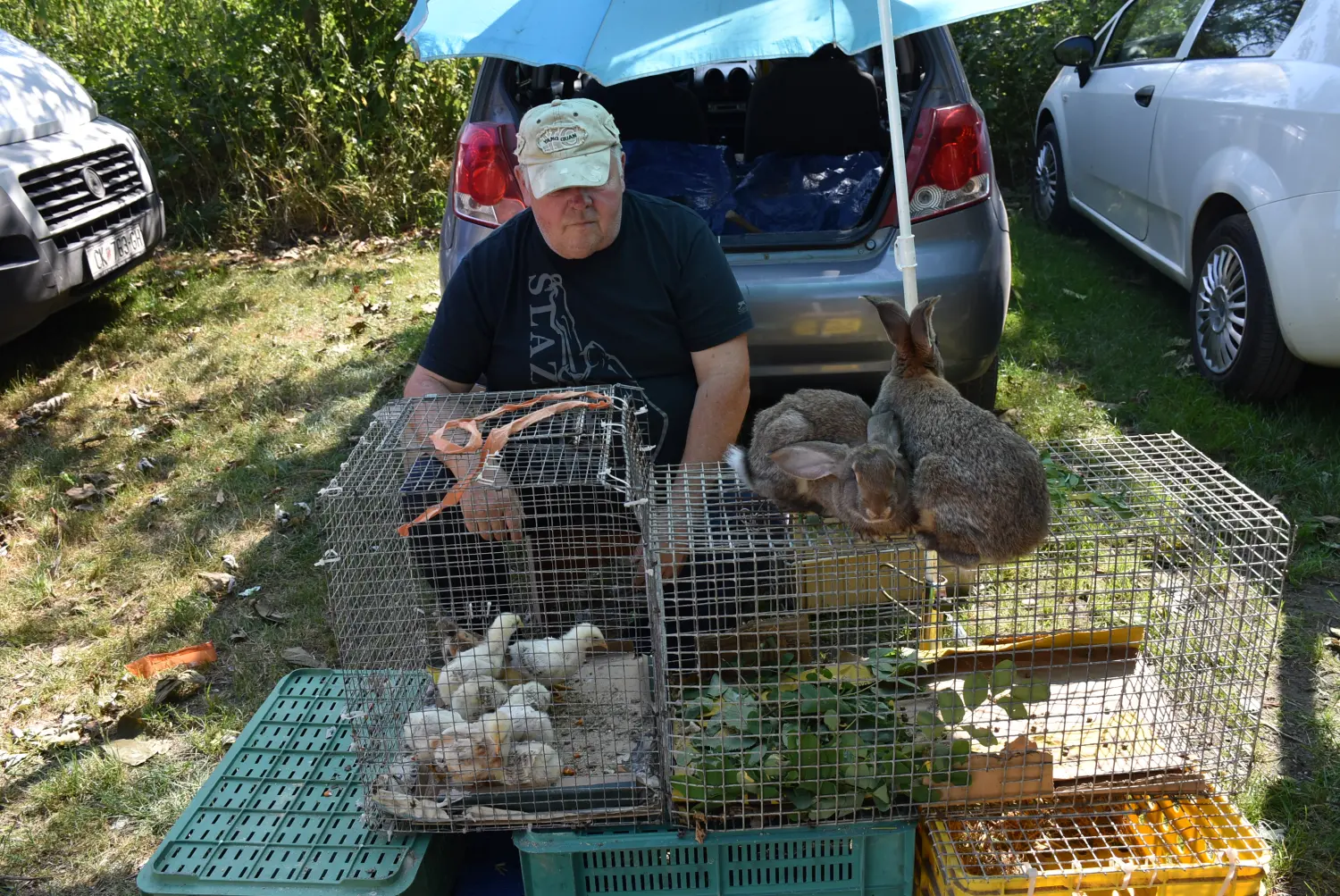 sajam srijedom 17.7.2024 (56)