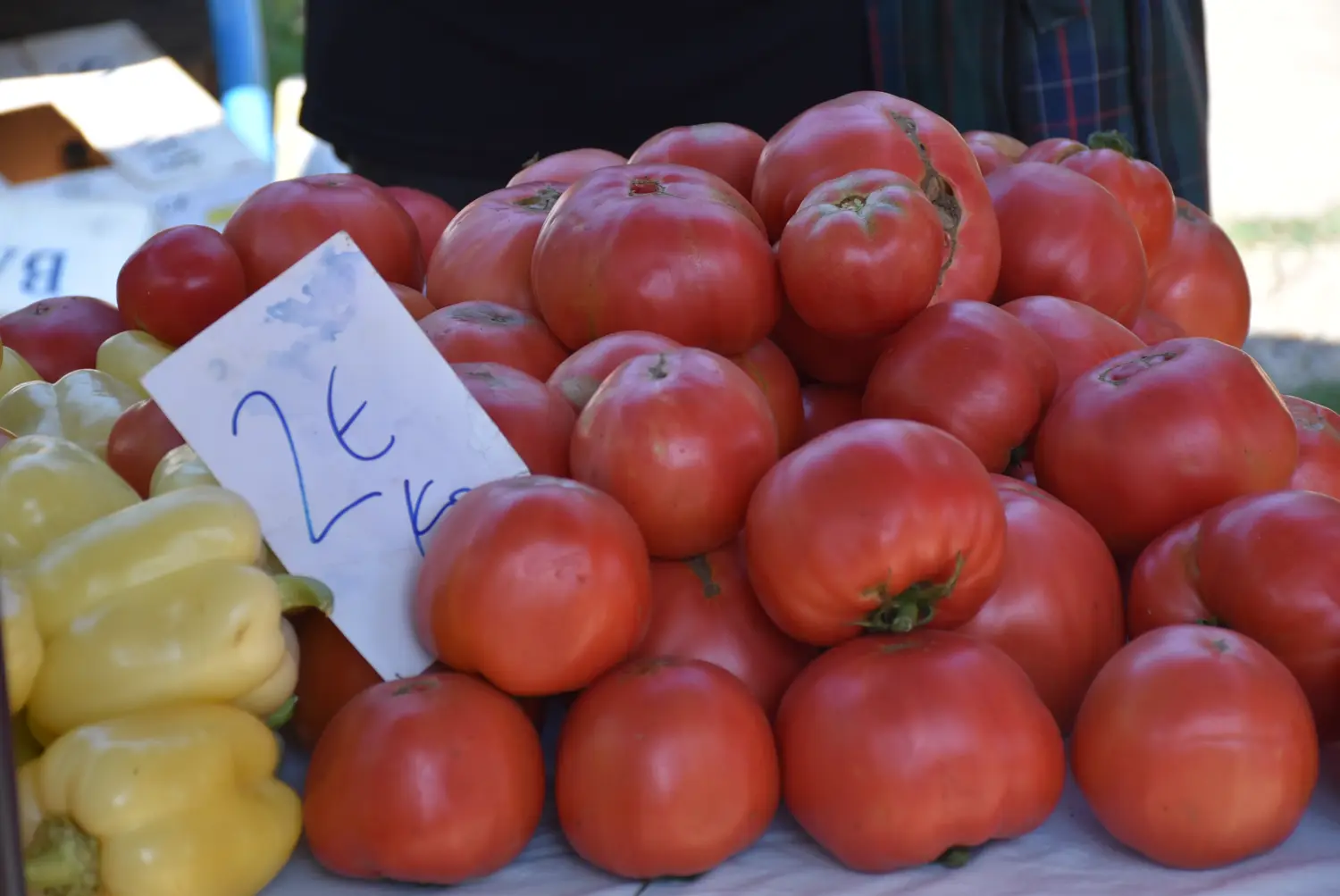 sajam srijedom 17.7.2024 (6)