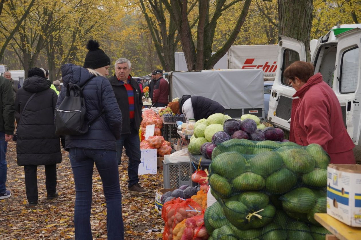 sajam srijedom 19.11.2025 (13)