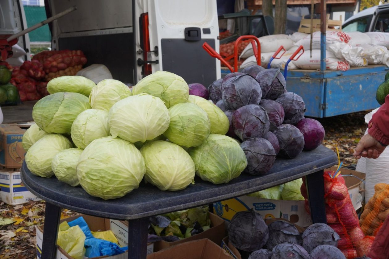 sajam srijedom 19.11.2025 (16)