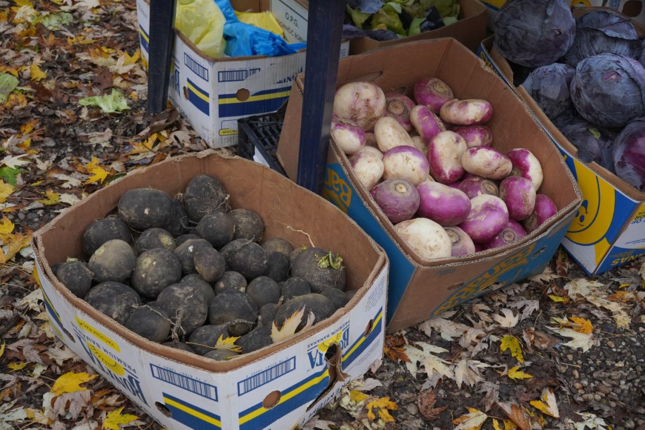 sajam srijedom 19.11.2025 (17)