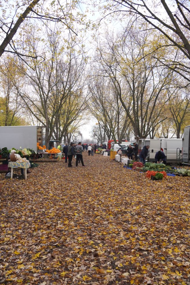 sajam srijedom 19.11.2025 (27)