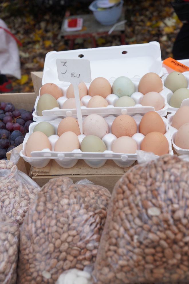 sajam srijedom 19.11.2025 (29)