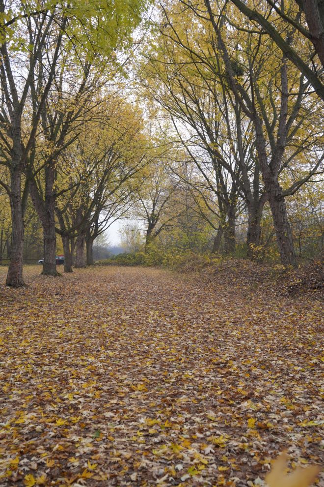 sajam srijedom 19.11.2025 (31)