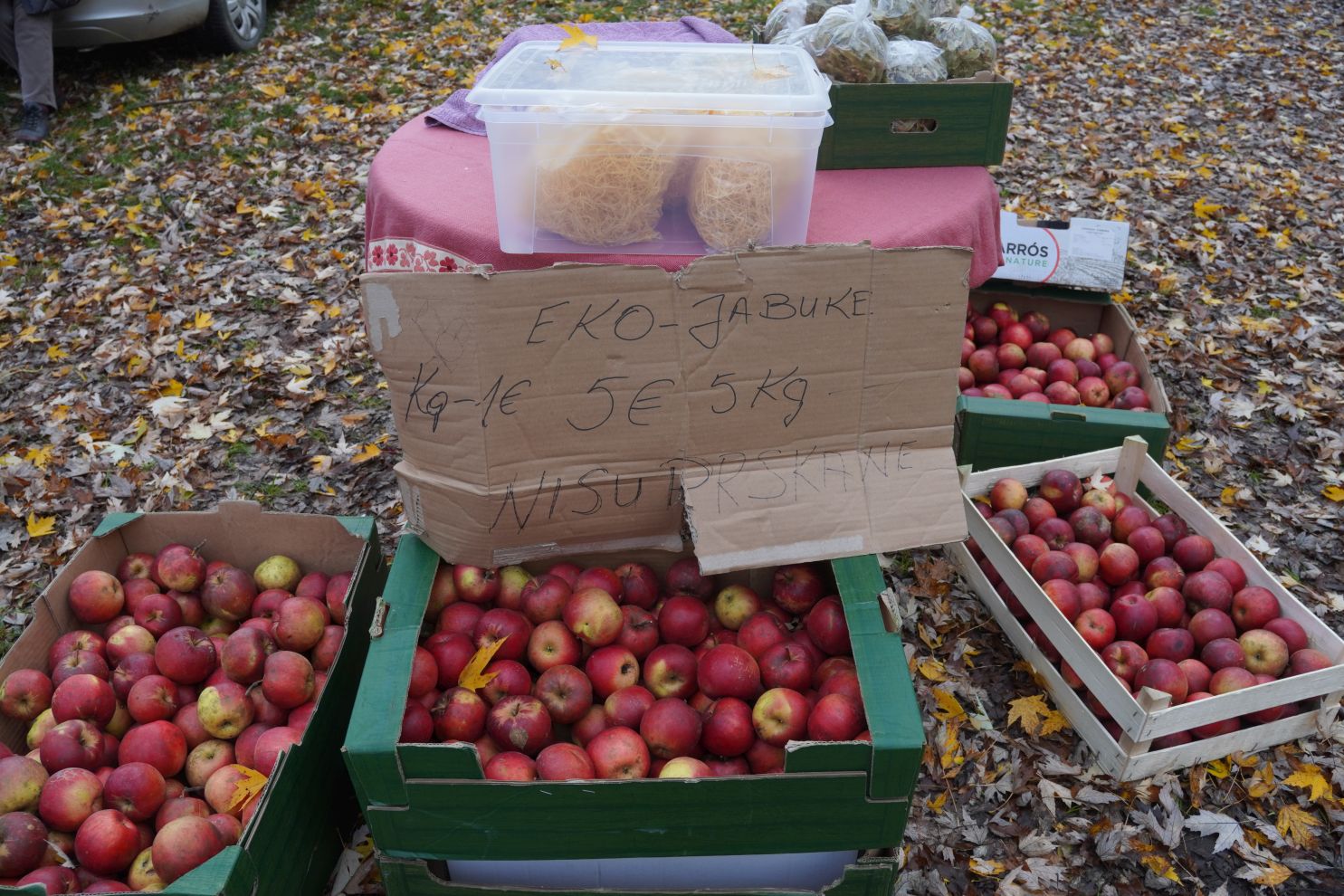 sajam srijedom 19.11.2025 (37)