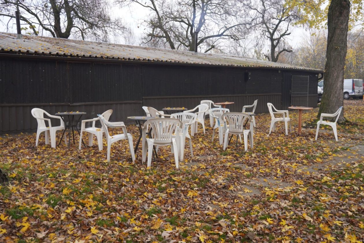 sajam srijedom 19.11.2025 (40)