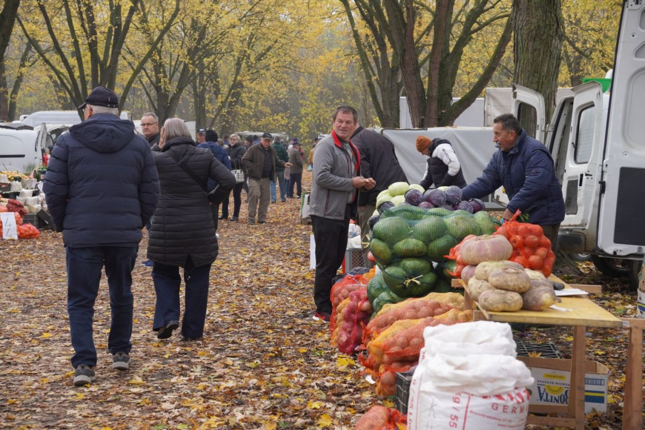sajam srijedom 19.11.2025 (46)