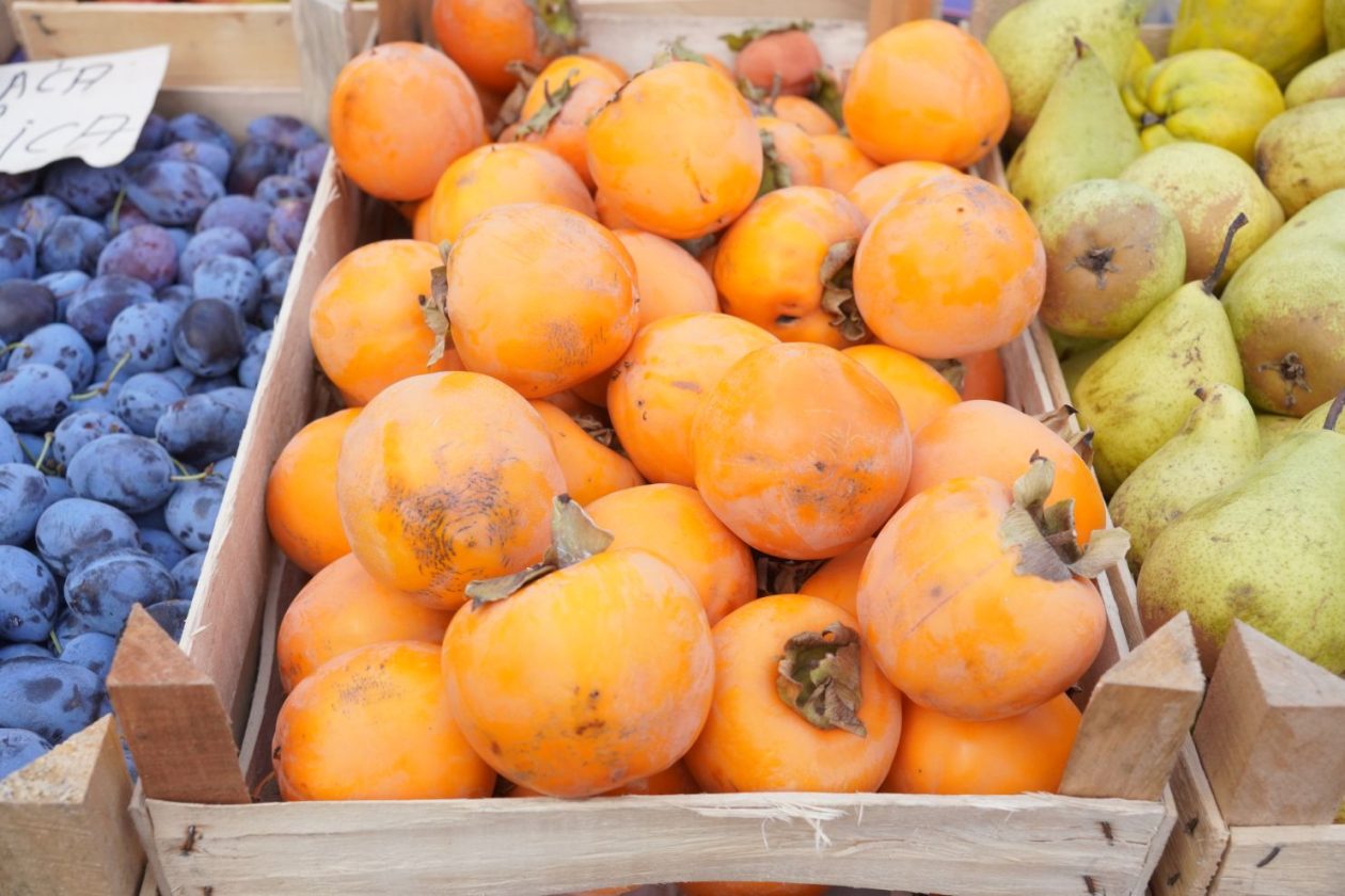 sajam srijedom 19.11.2025 (5)