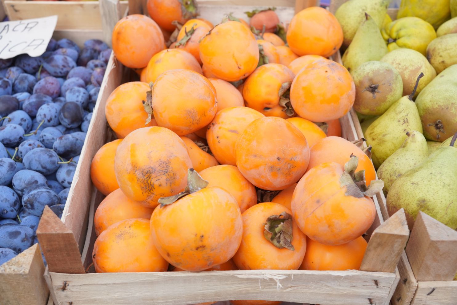 sajam srijedom 19.11.2025 (5)