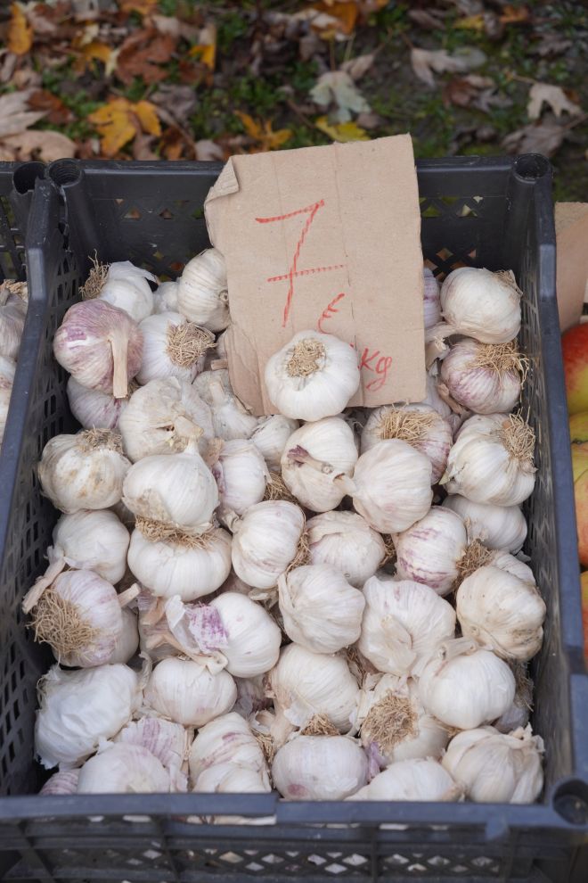 sajam srijedom 19.11.2025 (6)