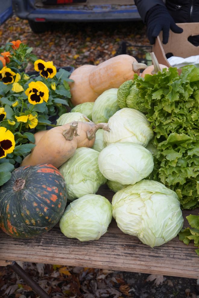 sajam srijedom 19.11.2025 (7)