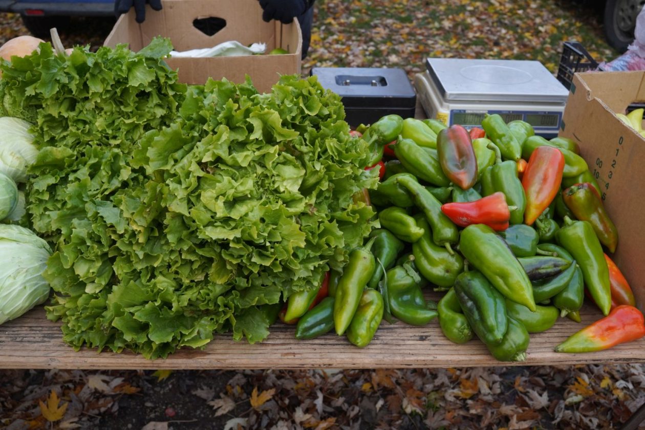 sajam srijedom 19.11.2025 (8)