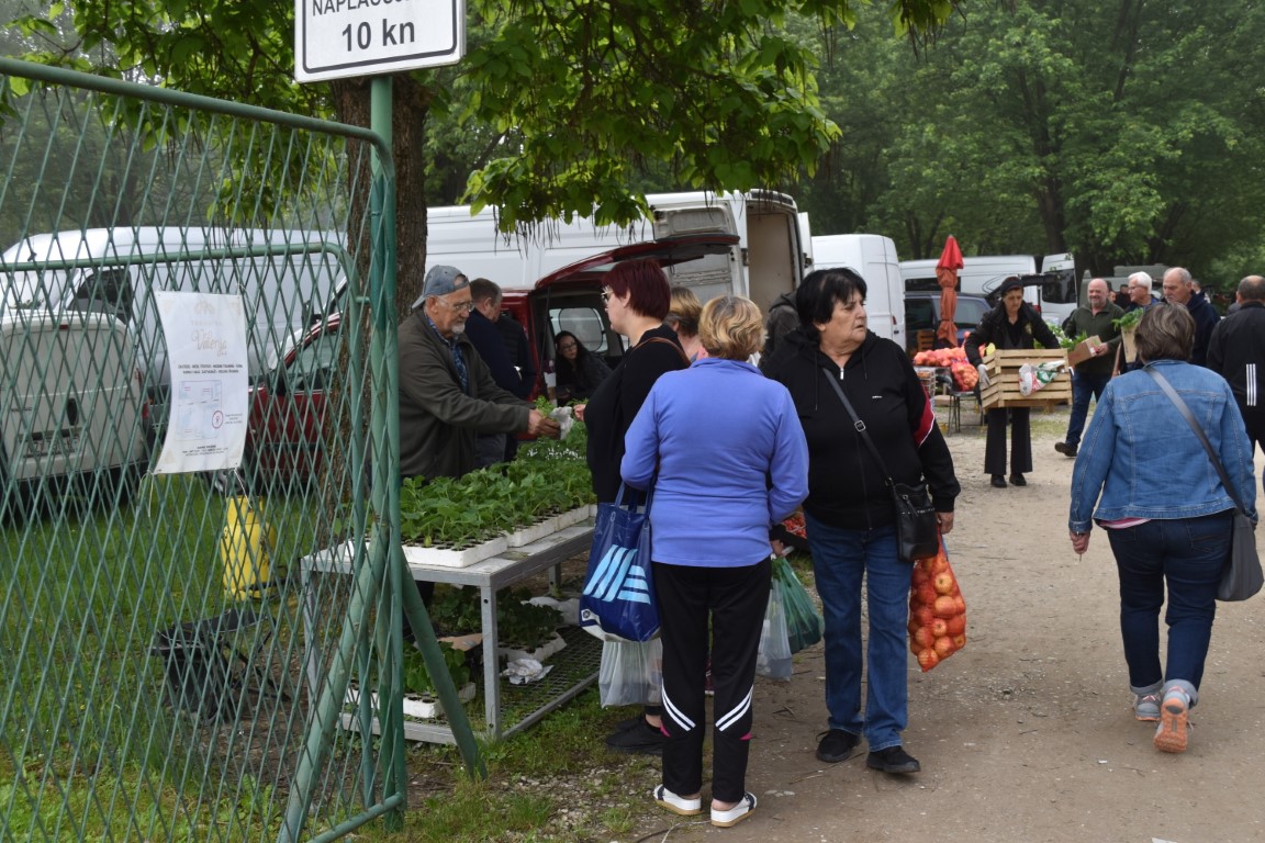 sajam srijedom (2) sajam srijedom (2)