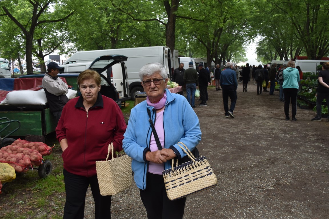 sajam srijedom (20) sajam srijedom (20)