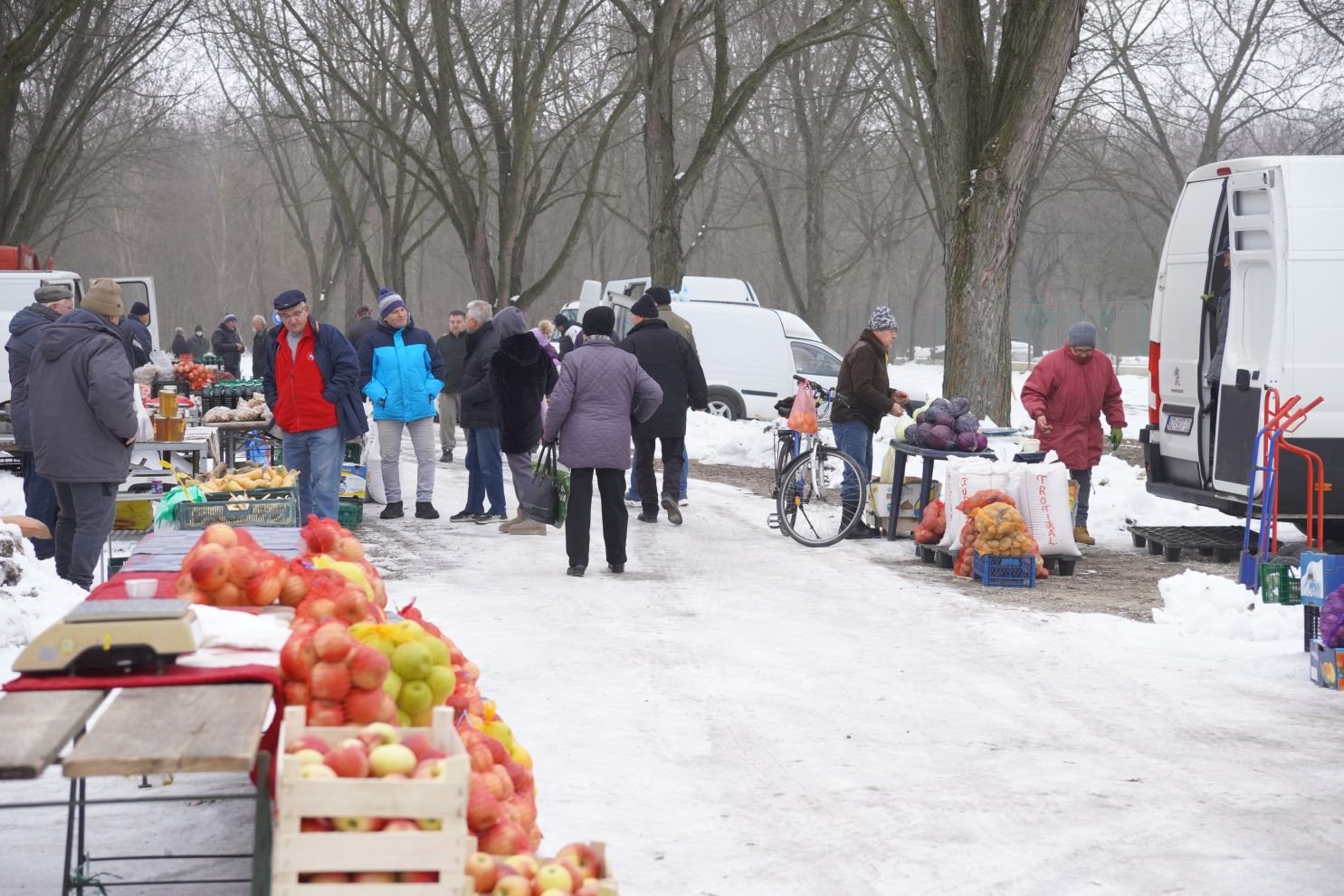 sajam srijedom 21.1.2026 (32)