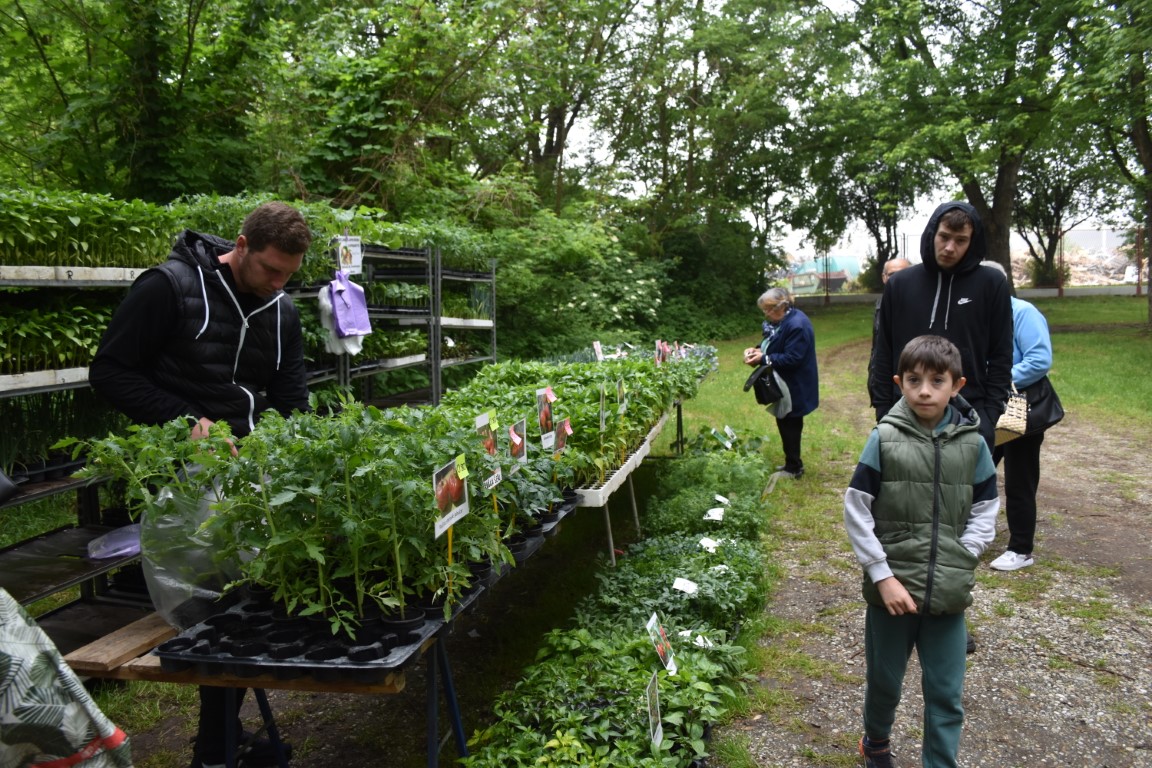 sajam srijedom (21) sajam srijedom (21)