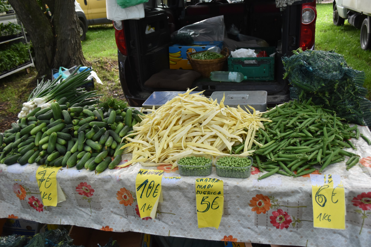 sajam srijedom 22 svibnja (10) sajam srijedom 22 svibnja (10)