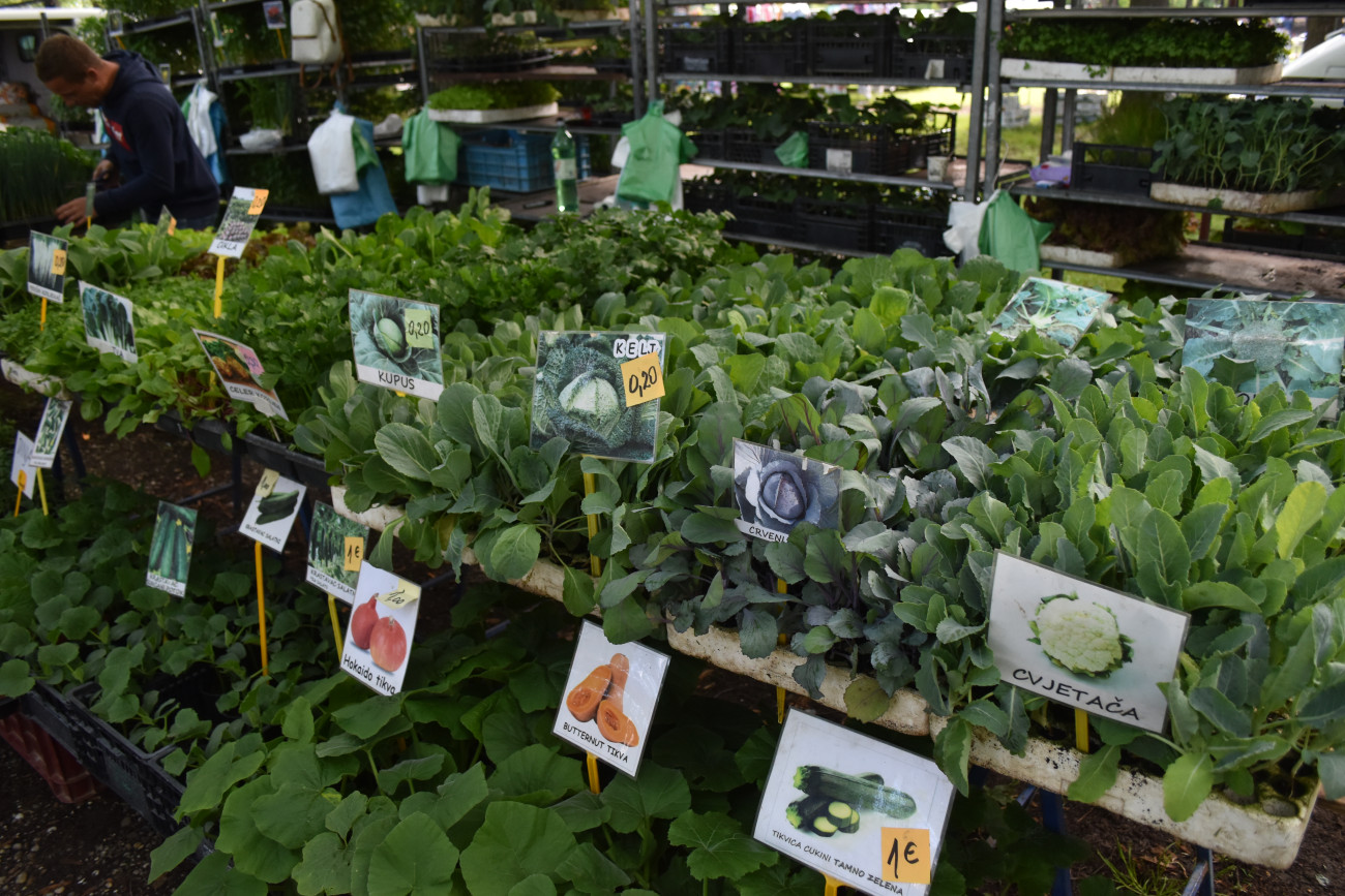 sajam srijedom 22 svibnja (13) sajam srijedom 22 svibnja (13)