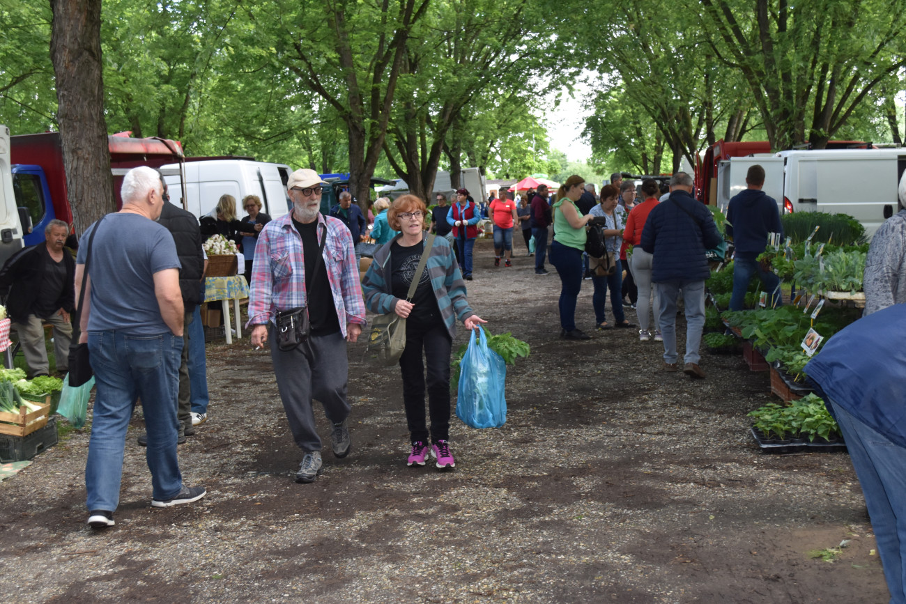 sajam srijedom 22 svibnja (14) sajam srijedom 22 svibnja (14)