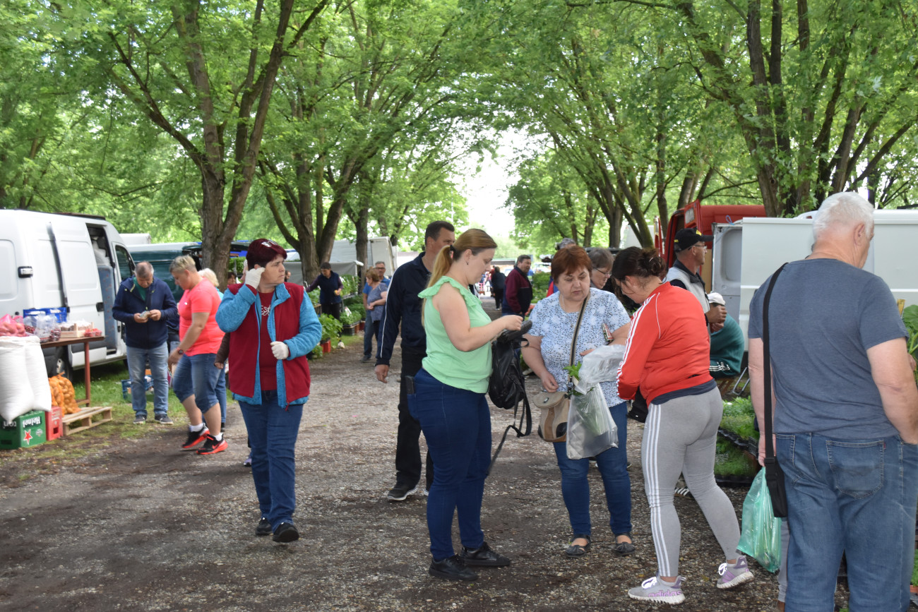 sajam srijedom 22 svibnja (15) sajam srijedom 22 svibnja (15)