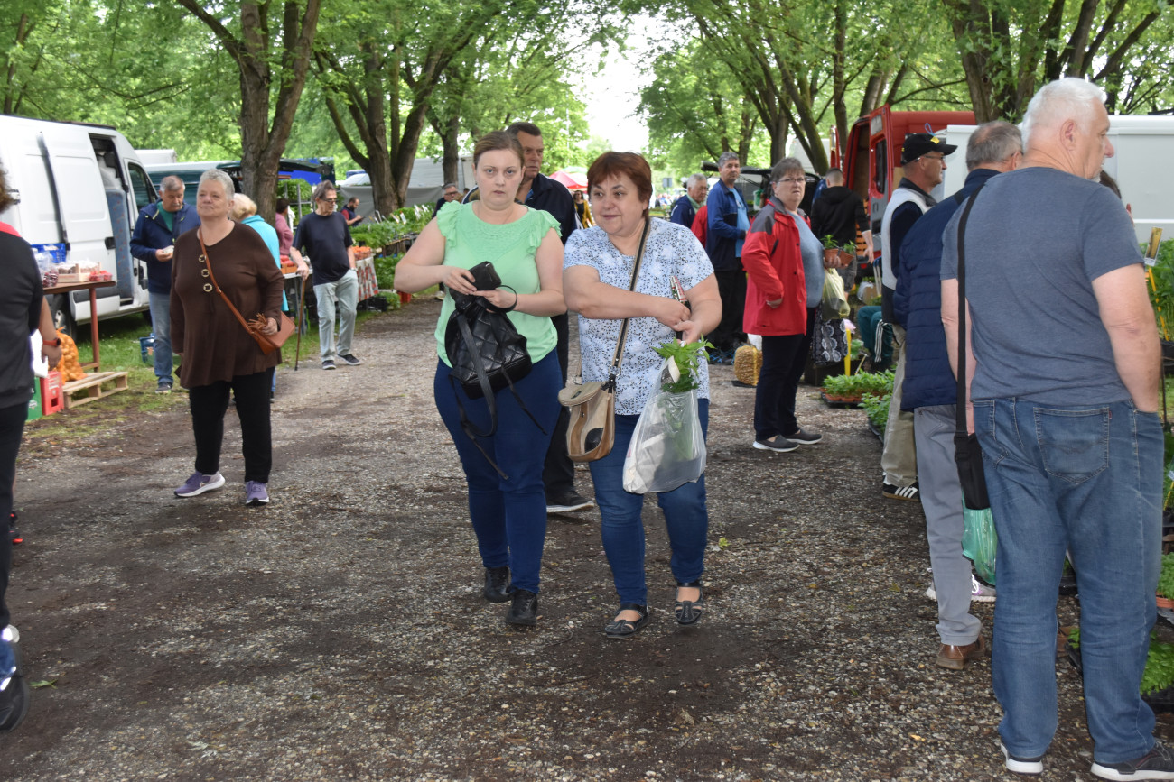 sajam srijedom 22 svibnja (16) sajam srijedom 22 svibnja (16)