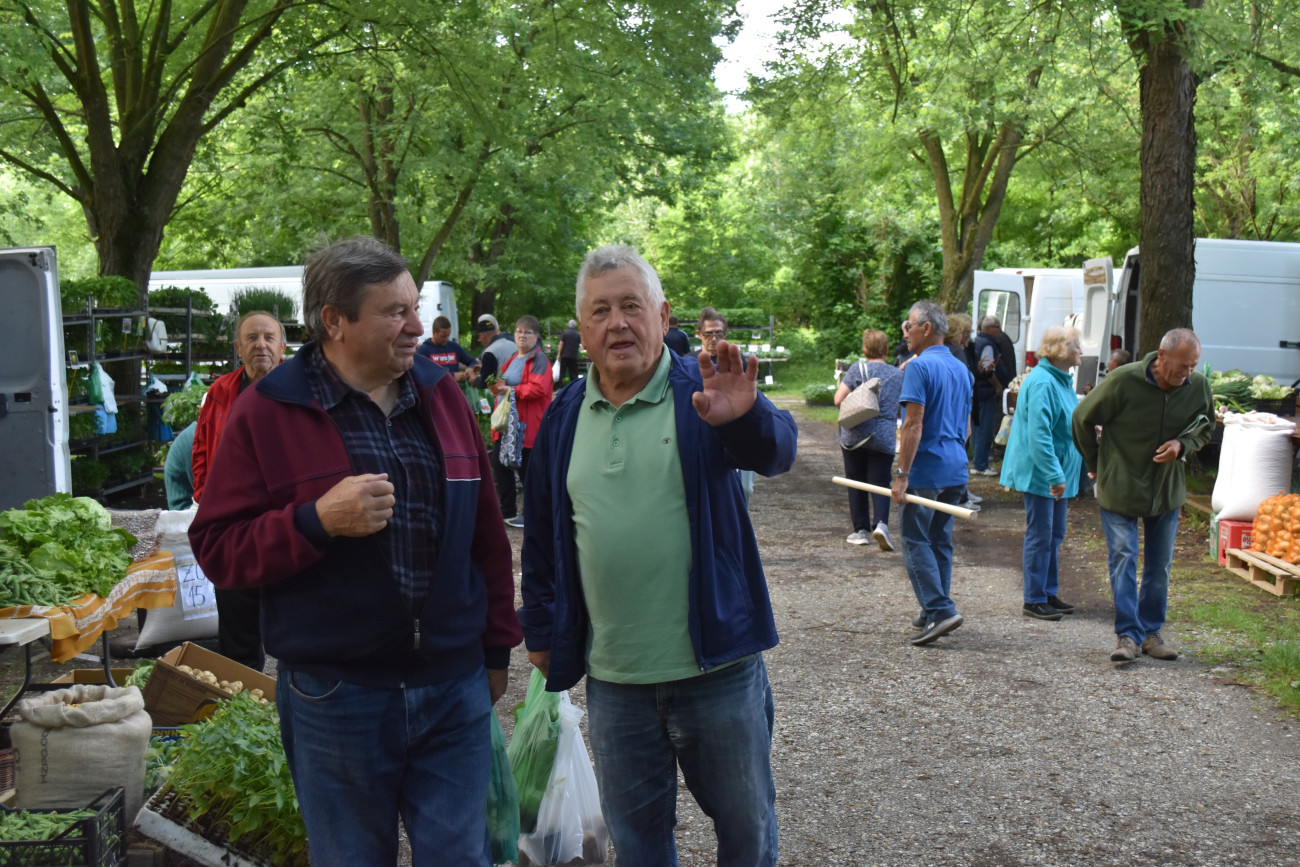 sajam srijedom 22 svibnja (18) sajam srijedom 22 svibnja (18)