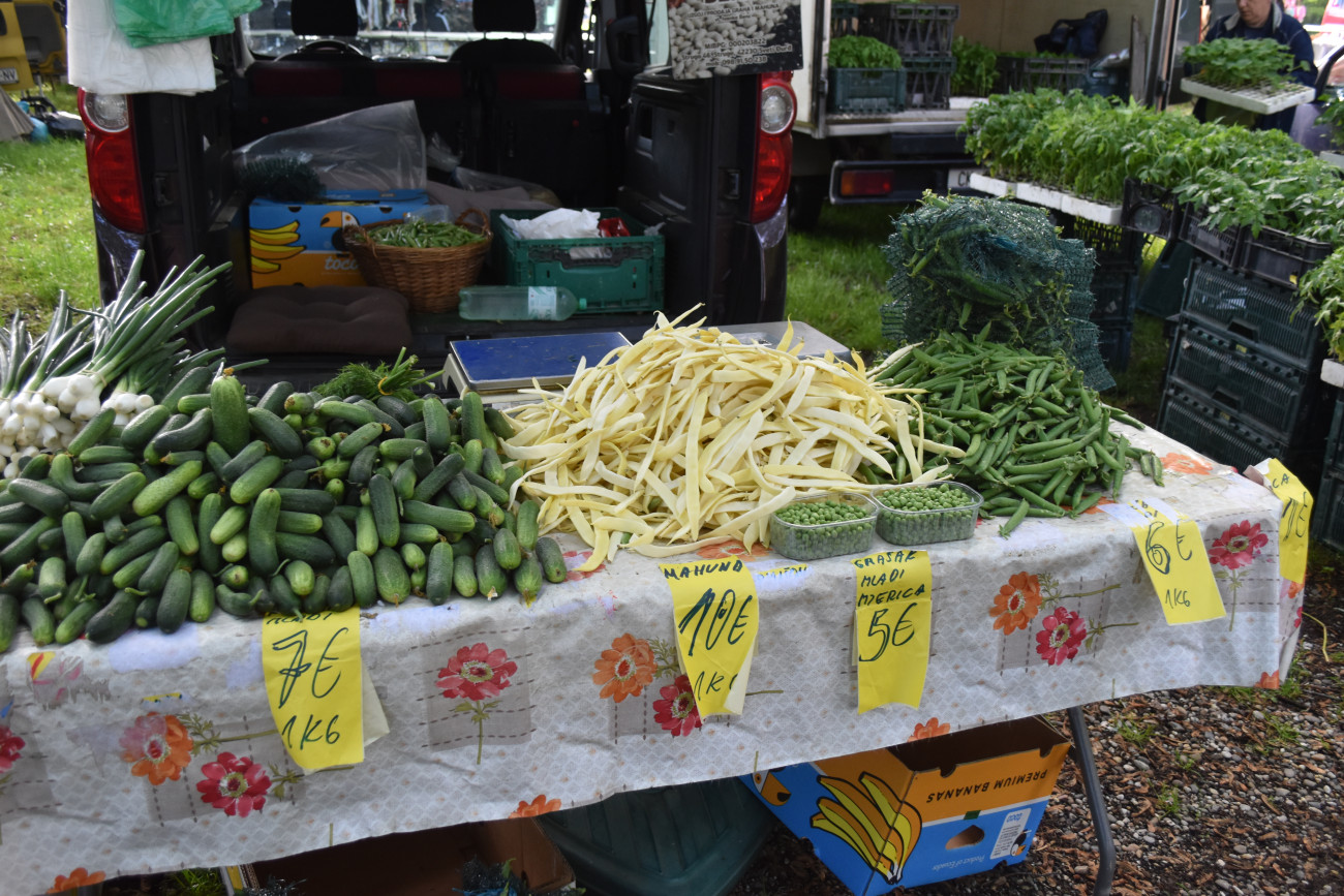 sajam srijedom 22 svibnja (21) sajam srijedom 22 svibnja (21)