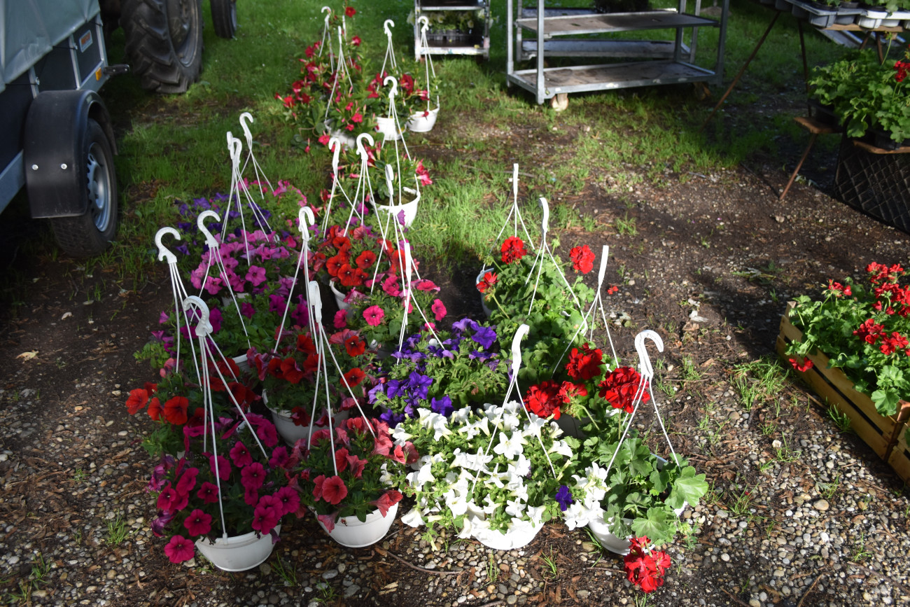 sajam srijedom 22 svibnja (22) sajam srijedom 22 svibnja (22)