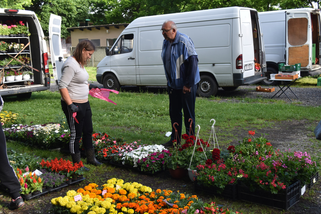 sajam srijedom 22 svibnja (24) sajam srijedom 22 svibnja (24)